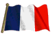 French Flag 